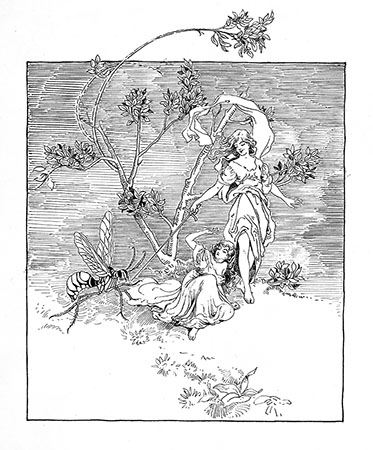 Midsummer